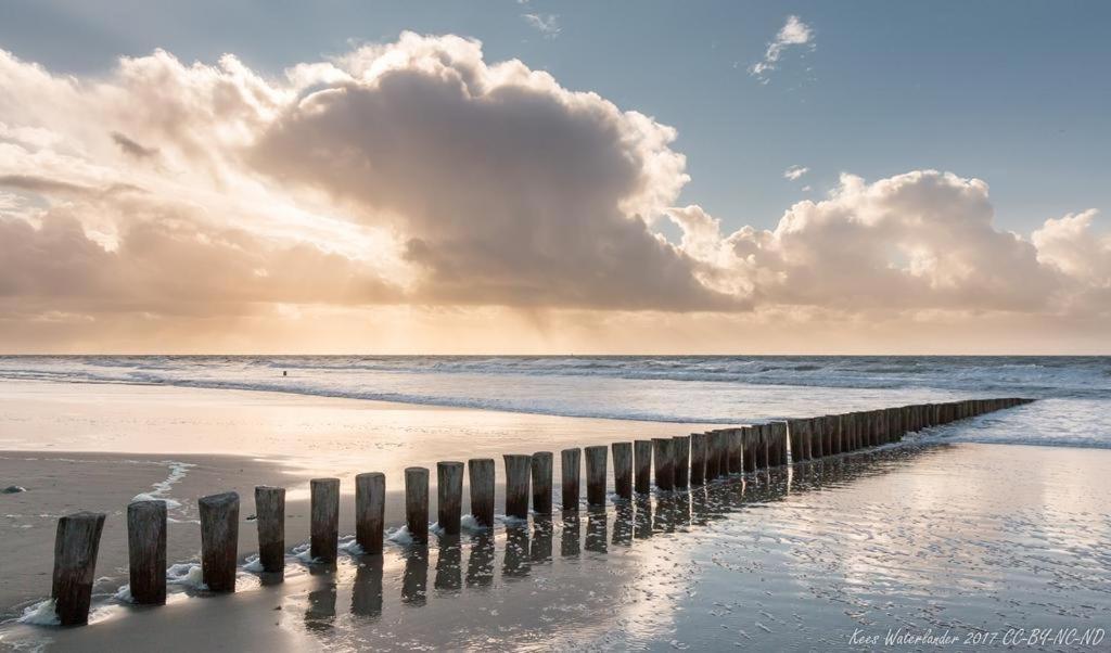 't Strandhuys En De Vuurtoren, Met Eigen Keuken, Zonnig Terras Nabij Dorp, Duinen En Strand, Incl Verwarmd Binnen Zwembad Appartement *